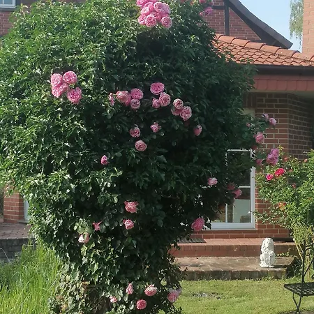 Garni Hemmingen (Hannover)