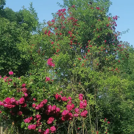 Apartment Garni Hemmingen (Hannover)